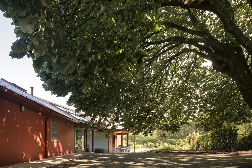 Quinta Da Tilia Boutique Retreat Guest House Capelas Bagian luar foto